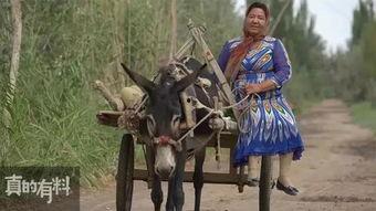 吃瓜卖瓜最新事件视频,最新事件视频揭秘幕后真相