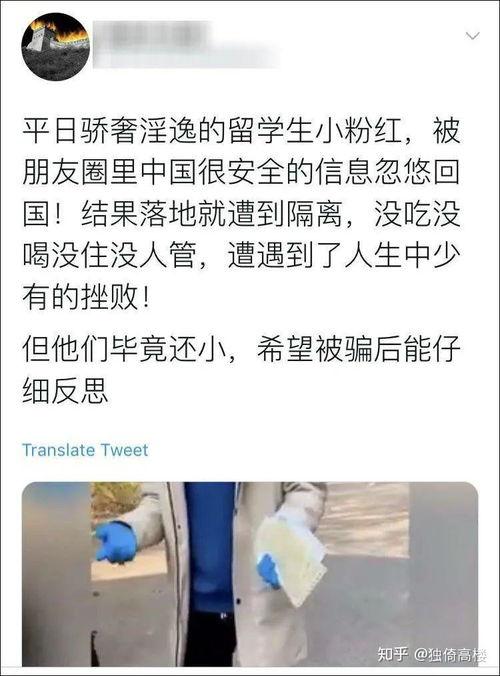 辽宁校园吃瓜事件始末视频,真相与争议的发酵历程