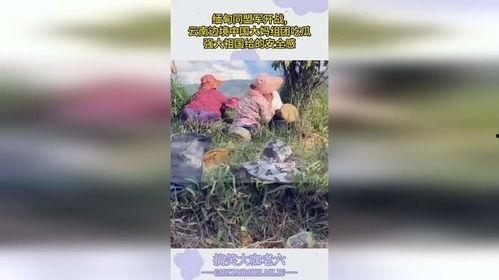云南大妈的吃瓜视频大全,趣味横生的乡村生活剪影