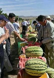 苏州疫情轨迹吃瓜视频,吃瓜视频带你还原事件真相