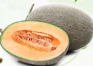 印度男子吃哈密瓜视频大全,趣味视频大盘点