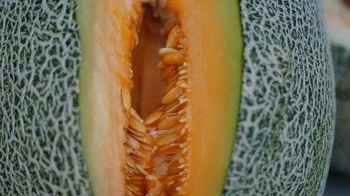 松瓜的瓜瓤可以吃吗视频,营养美味，你了解多少？