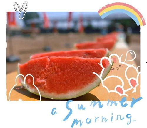 武陟吃瓜现场视频,一场全民狂欢的视觉盛宴