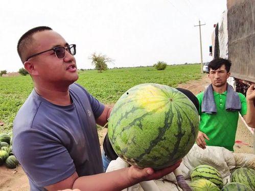 什么叫天天吃瓜视频啊,网络短视频时代的娱乐风向标