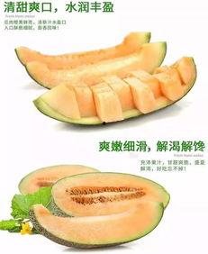 海南吃蜜瓜视频,甜蜜滋味，视觉盛宴