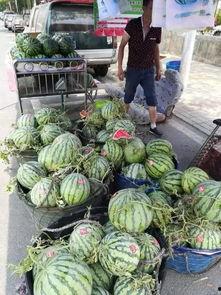 临沂莒南吃瓜事件视频最新,一场网络热议背后的真相揭秘