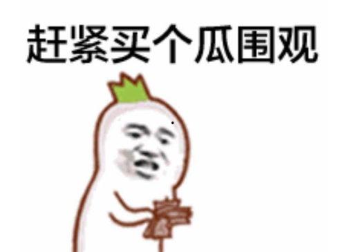 机智鼓掌吃瓜群众视频,视频中的欢乐瞬间